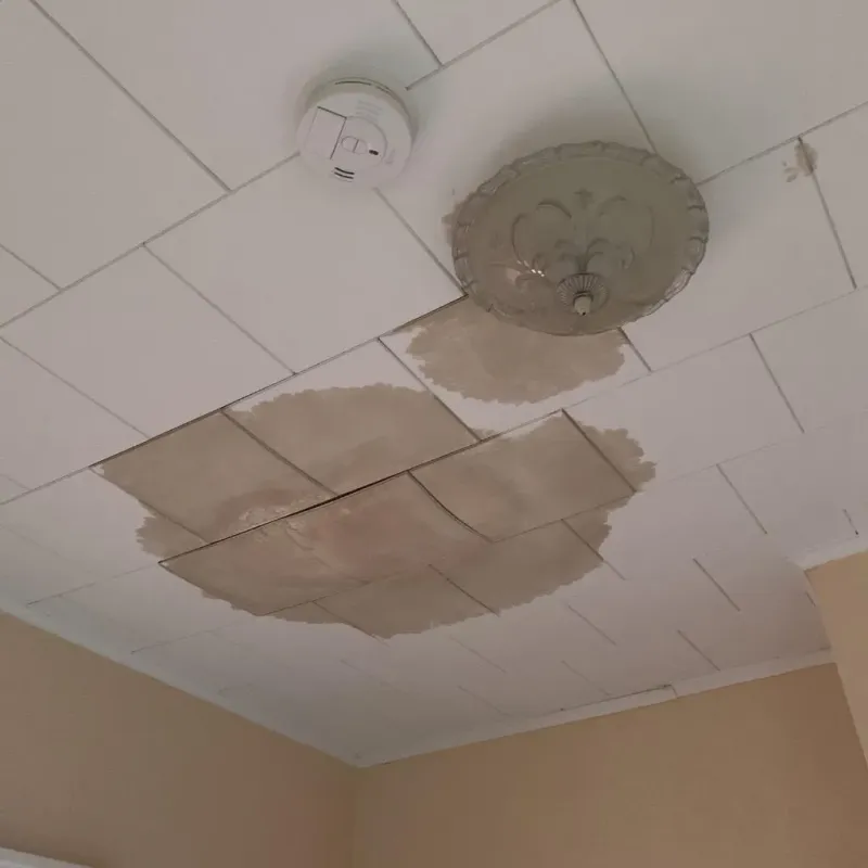 Ceiling Water Damage Repair in Mattoon, IL
