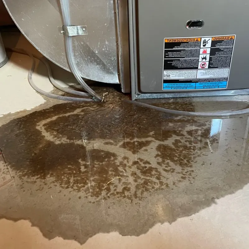 Pipe Burst and Leak Restoration in Mattoon, IL