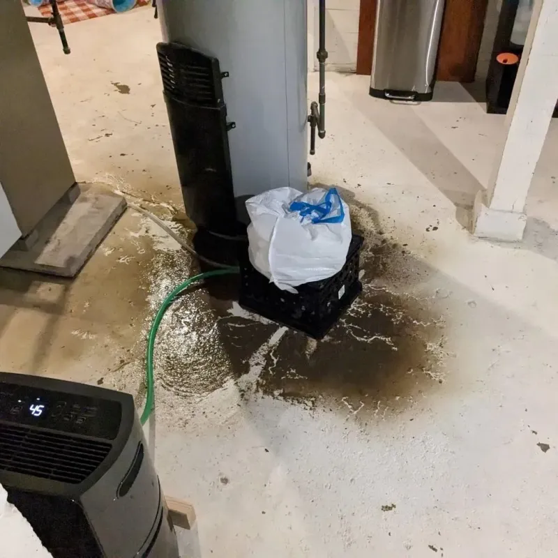 Sewage Backup Cleanup Service in Mattoon, IL